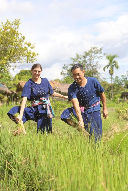 Chiang Mai: Thai Buffalo and Rice Planting Experience - Hang Tueng’s Buffalo and Rice Planting: Why It Works in Chiang Mai