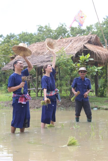 Chiang Mai: Thai Buffalo and Rice Planting Experience - What the Rice Field Feels Like (and How to Not Make It Worse)