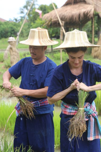 Chiang Mai: Thai Buffalo and Rice Planting Experience - Instructor-Led Learning: How You Get More Than Steps