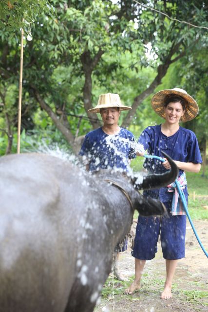 Chiang Mai: Thai Buffalo and Rice Planting Experience - Getting There and Settling In at Hang Tueng Farmstay