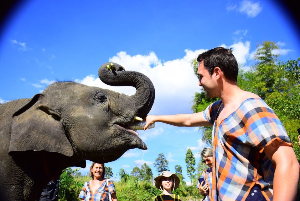 From Chiang Mai: Elephant Care Program and Nursery Tour - Key Highlights Worth Your Morning