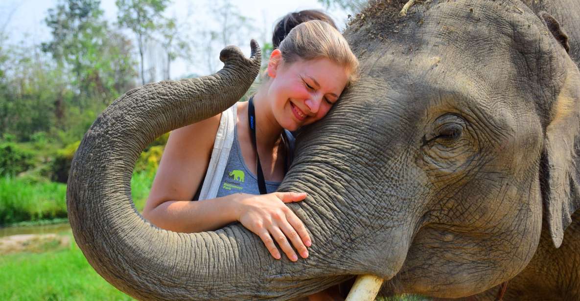 From Chiang Mai: Elephant Care Program and Nursery Tour - Why This Elephant Sanctuary Day Feels Real in Chiang Mai