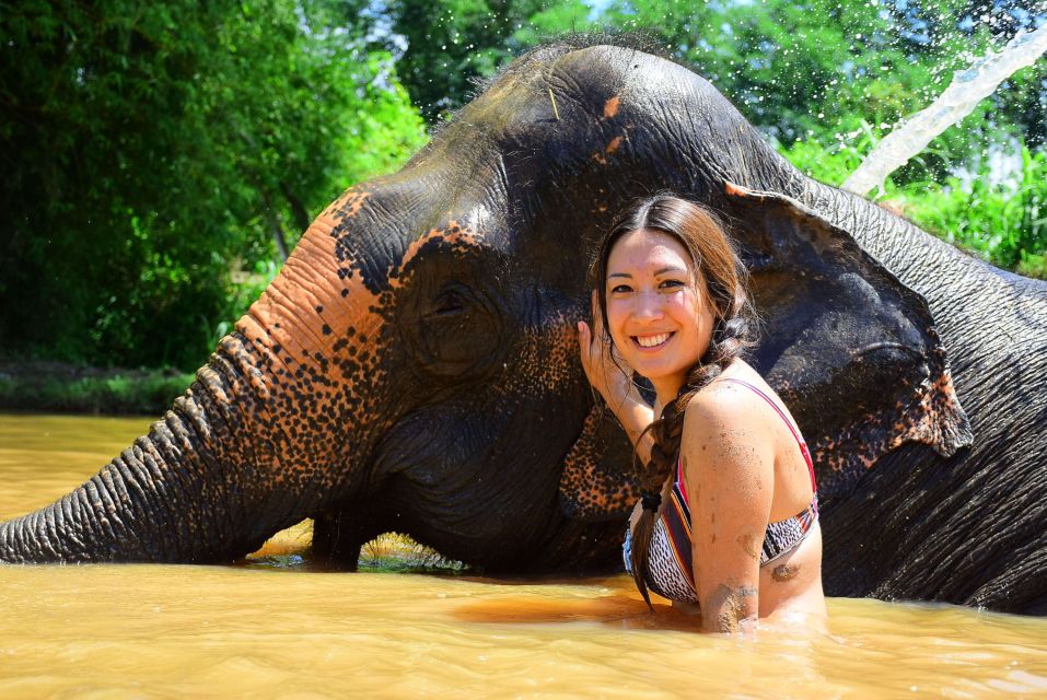 From Chiang Mai: Elephant Care Program and Nursery Tour - Transportation Back to Chiang Mai: Smooth, Short, and Practical