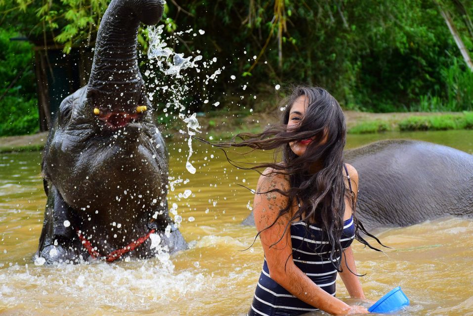 From Chiang Mai: Elephant Care Program and Nursery Tour - What to Pack So You Can Do Everything (Without Regretting It)