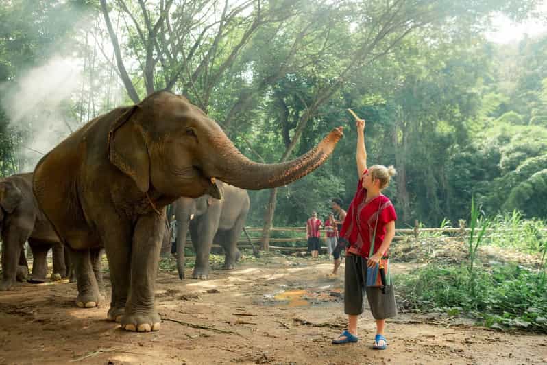 From Chiang Mai: Kerchor Eco Elephant Park Tour - Getting from Chiang Mai to the park: van time and the real pickup plan