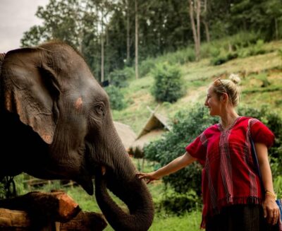 From Chiang Mai: Kerchor Eco Elephant Park Tour - The eco intro before you meet elephants: what you’re actually learning