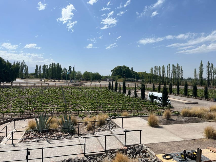 From Mendoza: 3 Wineries, Olive Oil Factory Tour & Tasting - What the Included Tastings Add Up To (and How to Pace)