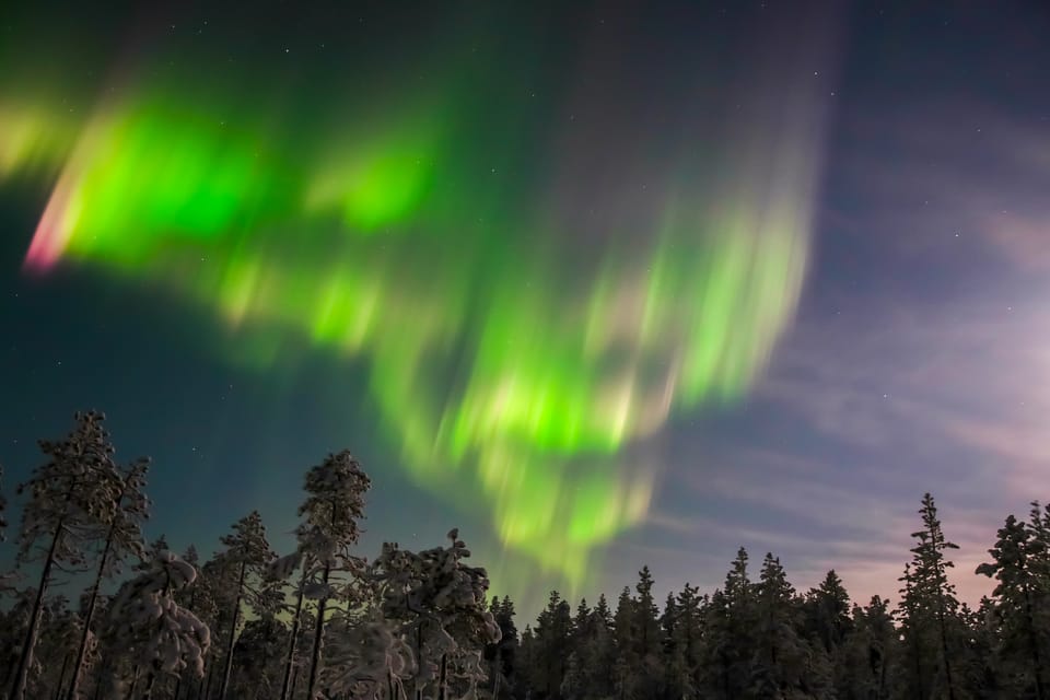 From Rovaniemi: Ice Floating under Aurora Borealis - Logistics You Should Not Ignore (Meeting Time, ID, and Rules)