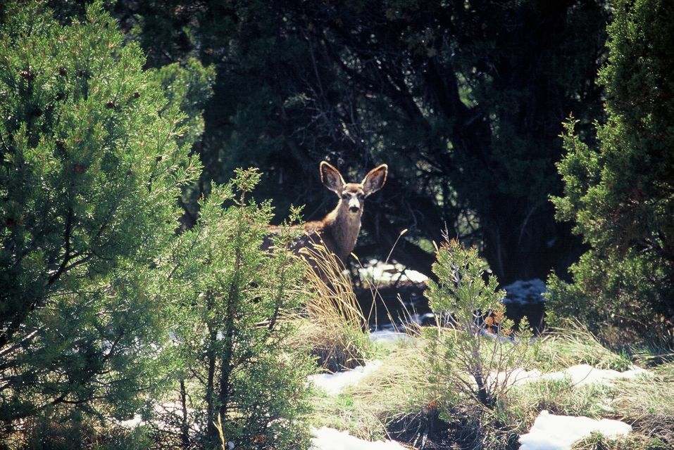 From Sedona: Red Rock West Private Jeep Tour - Quick practical tips before you go