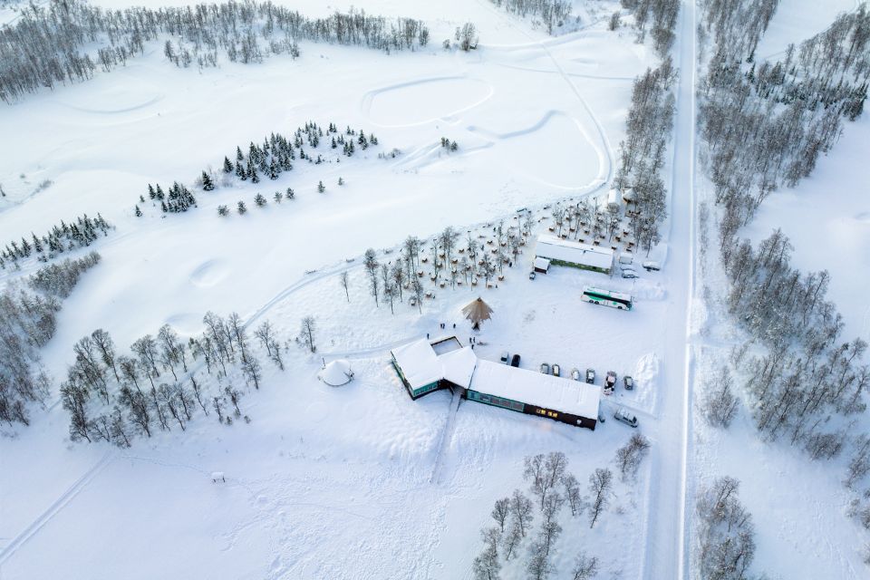 From Tromsø: Fun and Easy Dog Sledding Adventure - Meet the Dogs Up Close: Petting, Puppies, and Real Connection Time