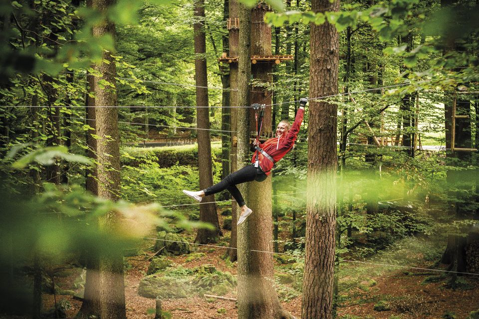 Rope Park Interlaken: Climbing Adventure with Entry Ticket - Price and value: is $58 worth it?