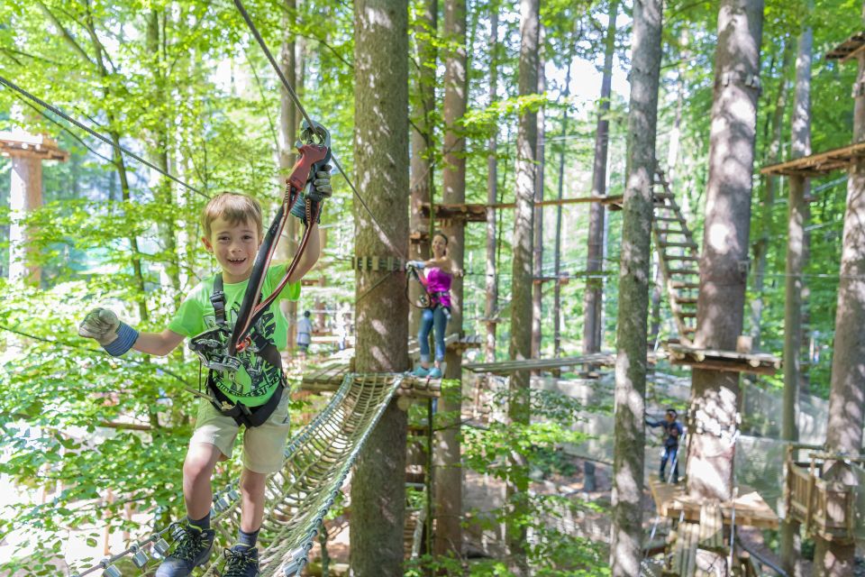 Rope Park Interlaken: Climbing Adventure with Entry Ticket - Nine courses in the trees: how the climbing actually works