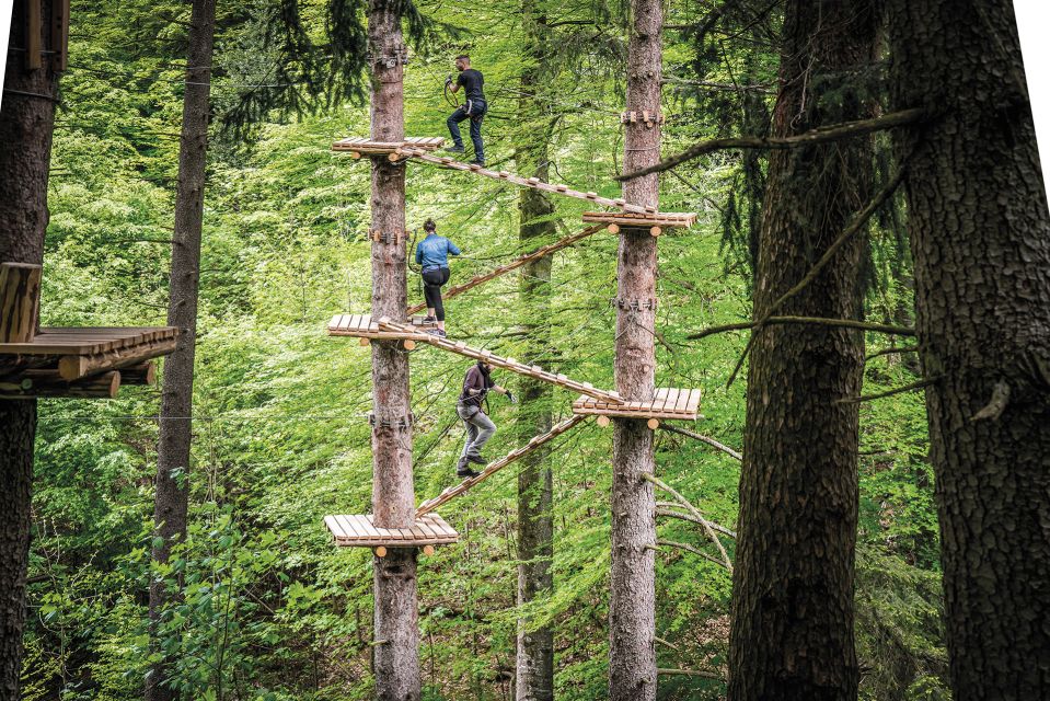 Rope Park Interlaken: Climbing Adventure with Entry Ticket - Height rules and course choices: what kids can actually do
