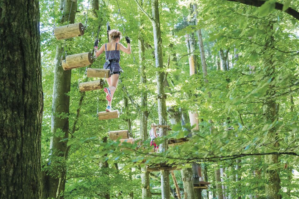 Rope Park Interlaken: Climbing Adventure with Entry Ticket - What to wear, what not to bring, and how to pace yourself