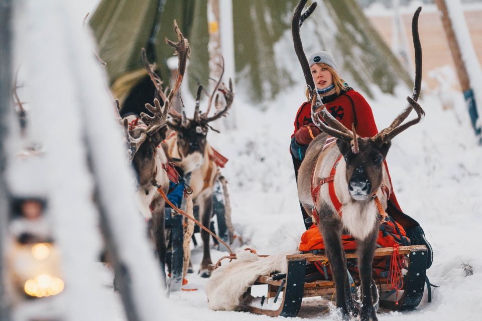 Rovaniemi: Apukka Reindeer Sleigh Ride at Night - Entering Apukka’s Lapland at night (and why it feels special)