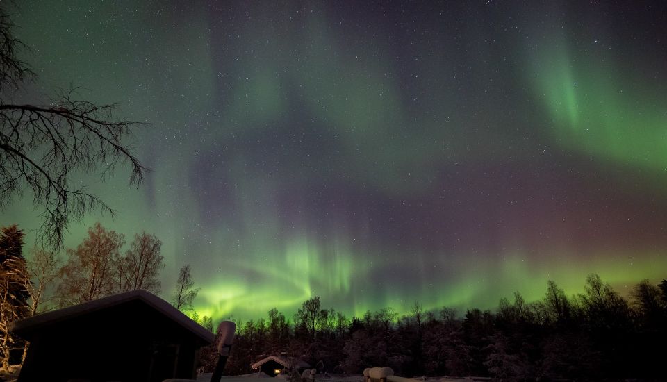 Rovaniemi: Apukka Reindeer Sleigh Ride at Night - The 3-hour plan: pickup, sleigh time, and a bonfire stop