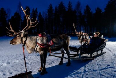 Rovaniemi: Apukka Reindeer Sleigh Ride at Night - The reindeer sleigh ride: quiet snow, real Lapland pace