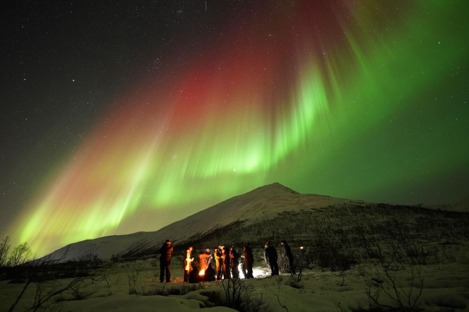 Tromsø: Northern Lights Tour with Free Professional Portrait - The Minibus Chase: Leaving Town Lights Behind