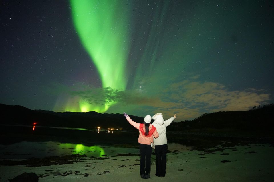 Tromsø: Northern Lights Tour with Free Professional Portrait - Stop-by-Stop Timing: How the Six Hours Typically Flow