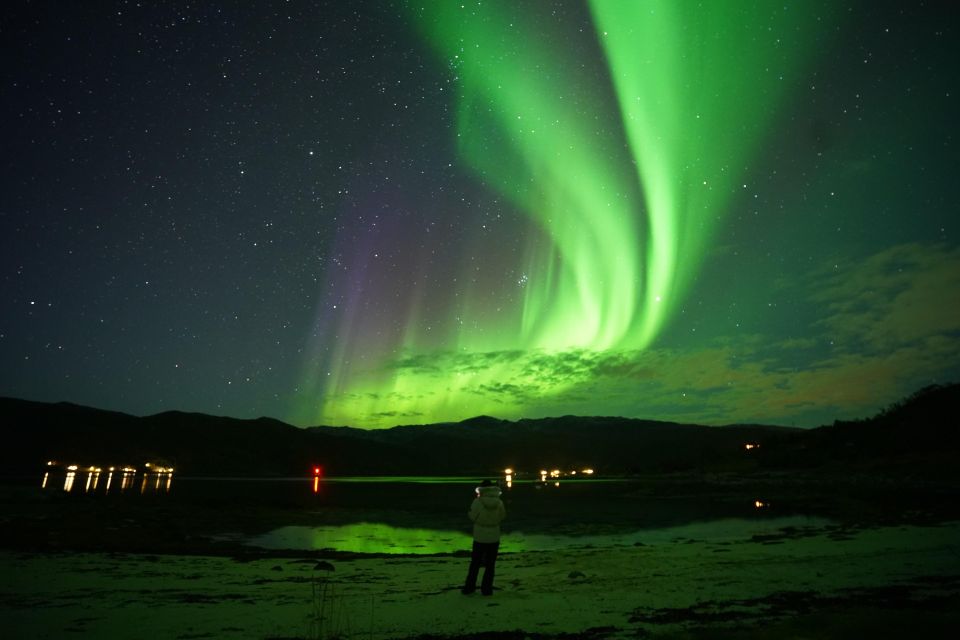 Tromsø: Northern Lights Tour with Free Professional Portrait - Price and Value: What $181 Covers (and Why It Can Be Worth It)