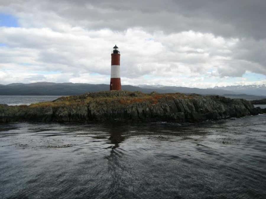 Ushuaia: Beagle Channel, Seal Island & Bridges Islands Tour - What to pack for cold wind, wet decks, and bird timing