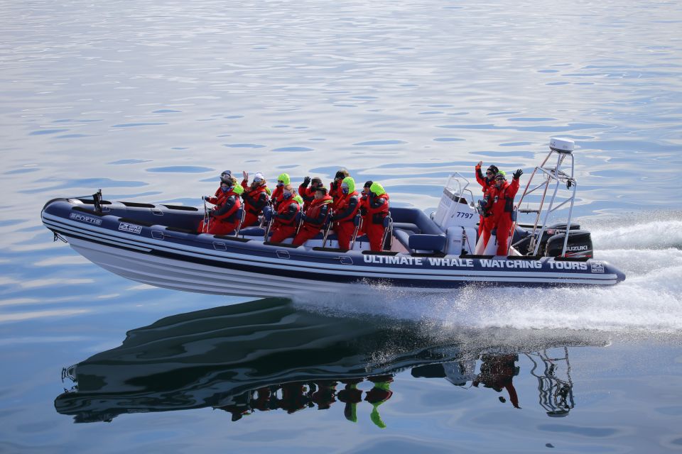 Whale Watching in Reykjavik by Speedboat - The 2-hour rhythm: how the ride is structured